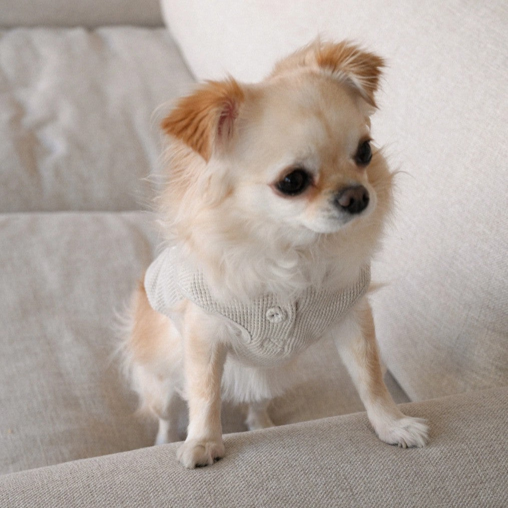 【予約】Waffle Henley Neck