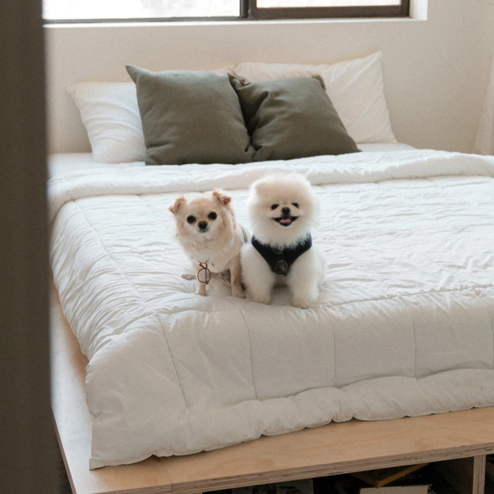 【予約】Waffle Henley Neck