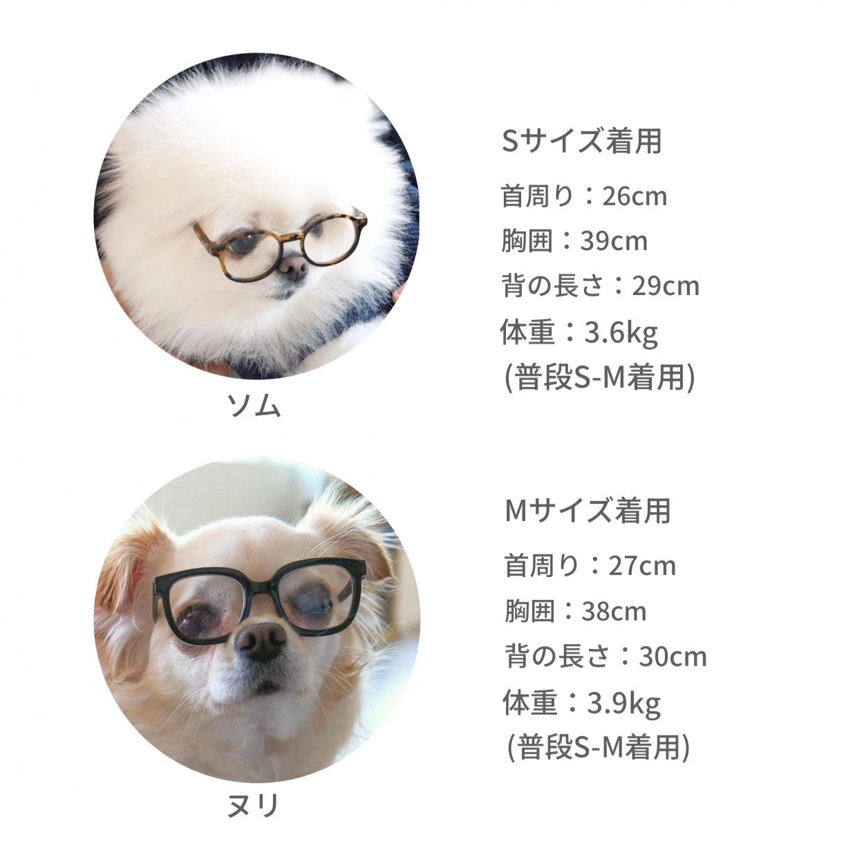 【予約】Waffle Henley Neck