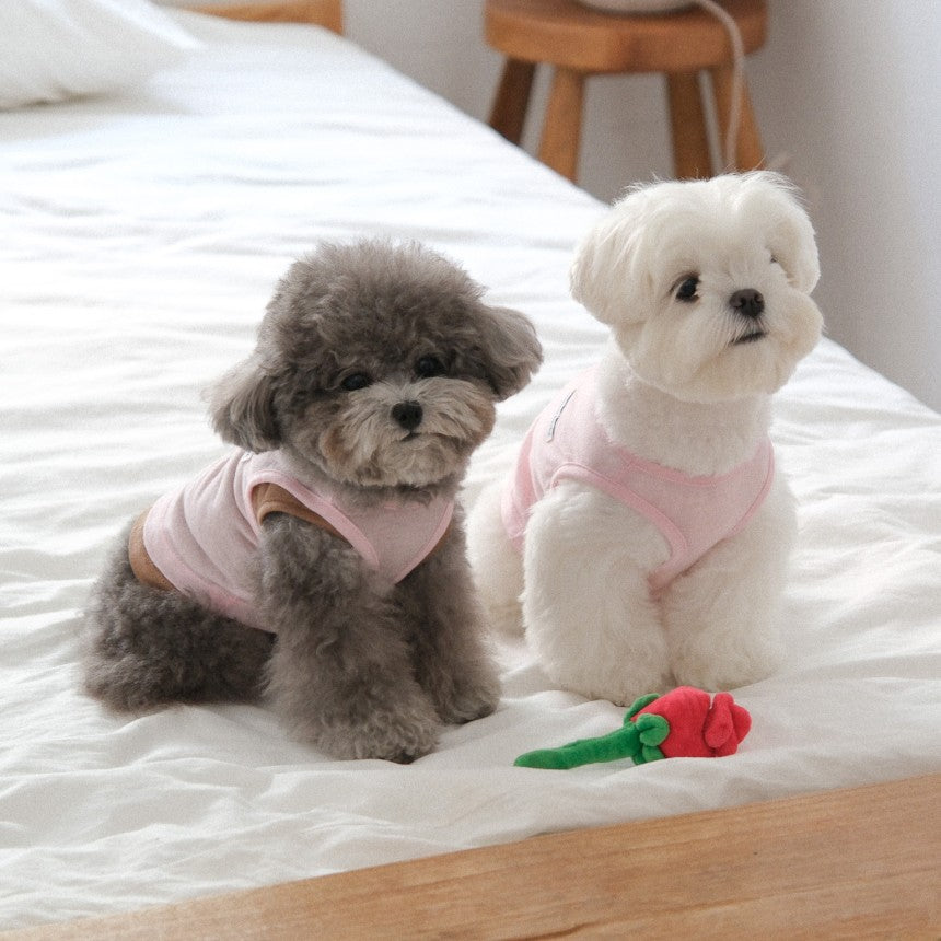 【予約】ウールレイヤートップス