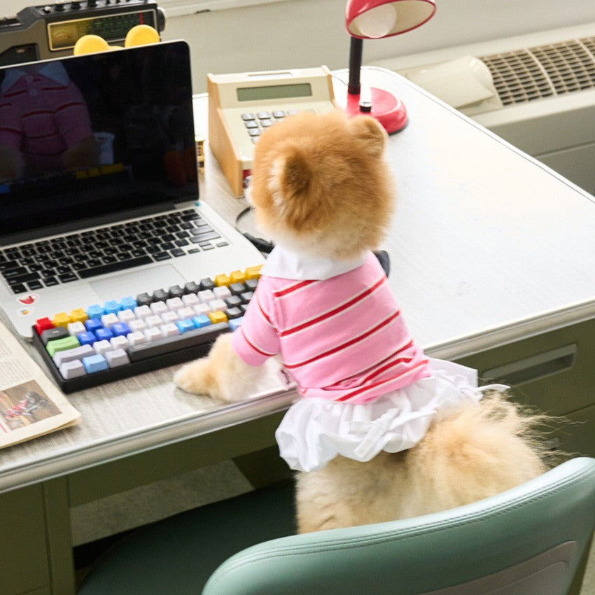 【予約】バルーンスカート