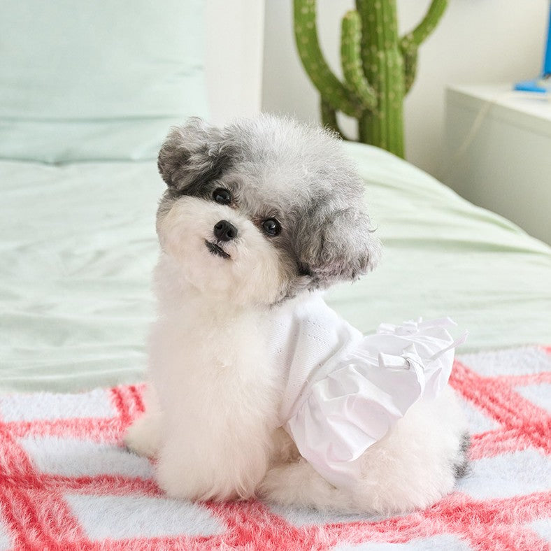 【予約】バルーンスカート