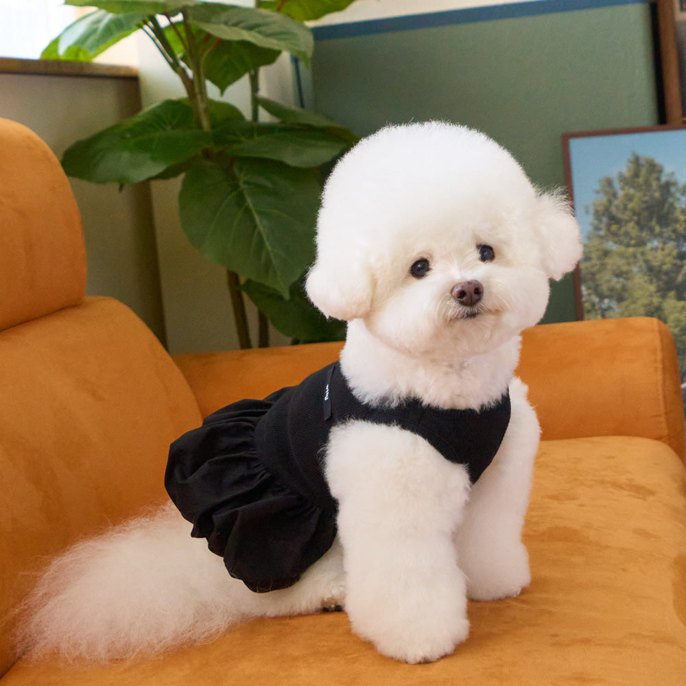 【予約】バルーンスカート