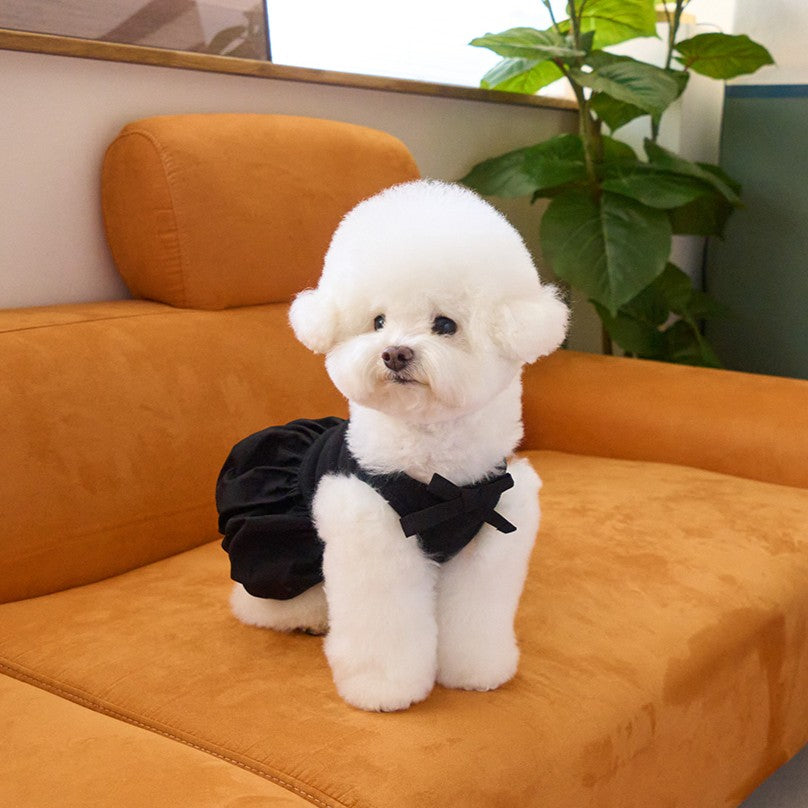 【予約】バルーンスカート