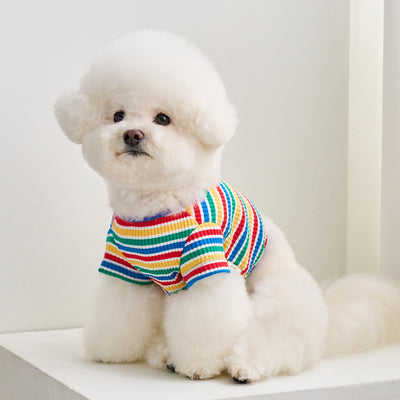 【予約】キャンディポップクロップドTシャツ