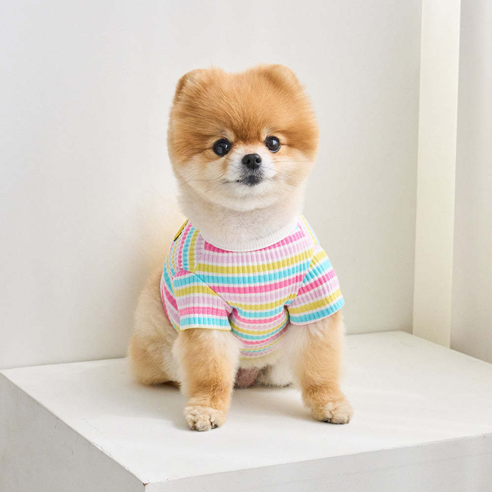 【予約】キャンディポップクロップドTシャツ