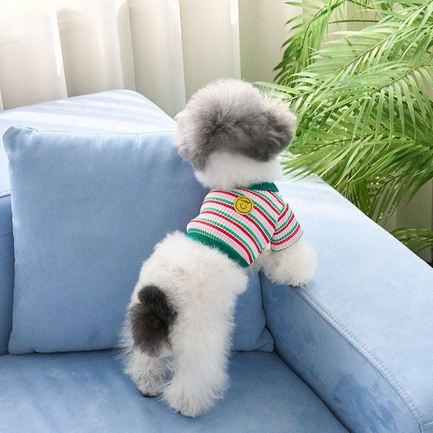 【予約】キャンディポップクロップドTシャツ