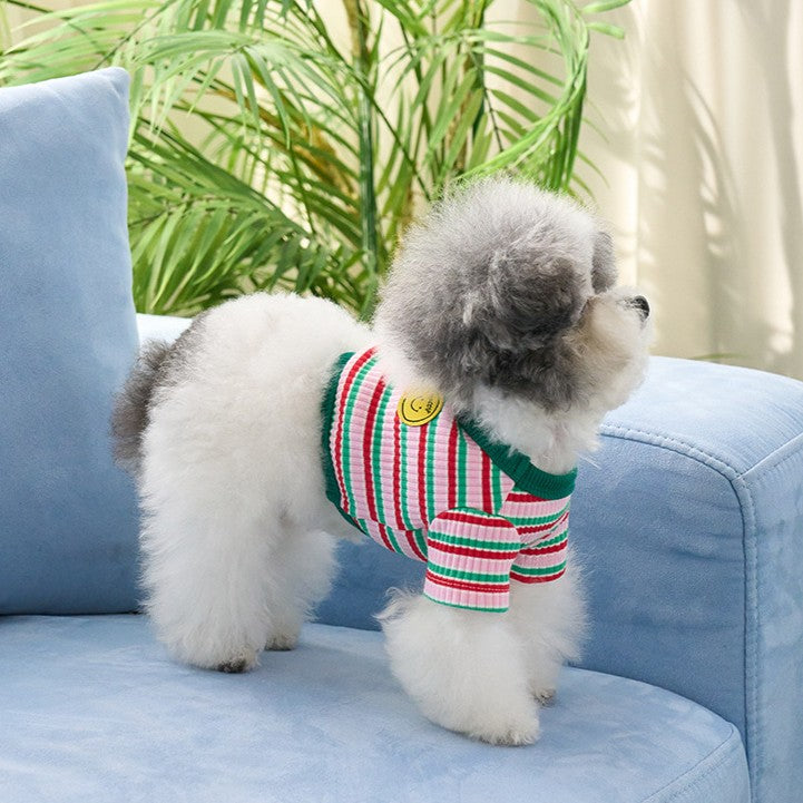 【予約】キャンディポップクロップドTシャツ