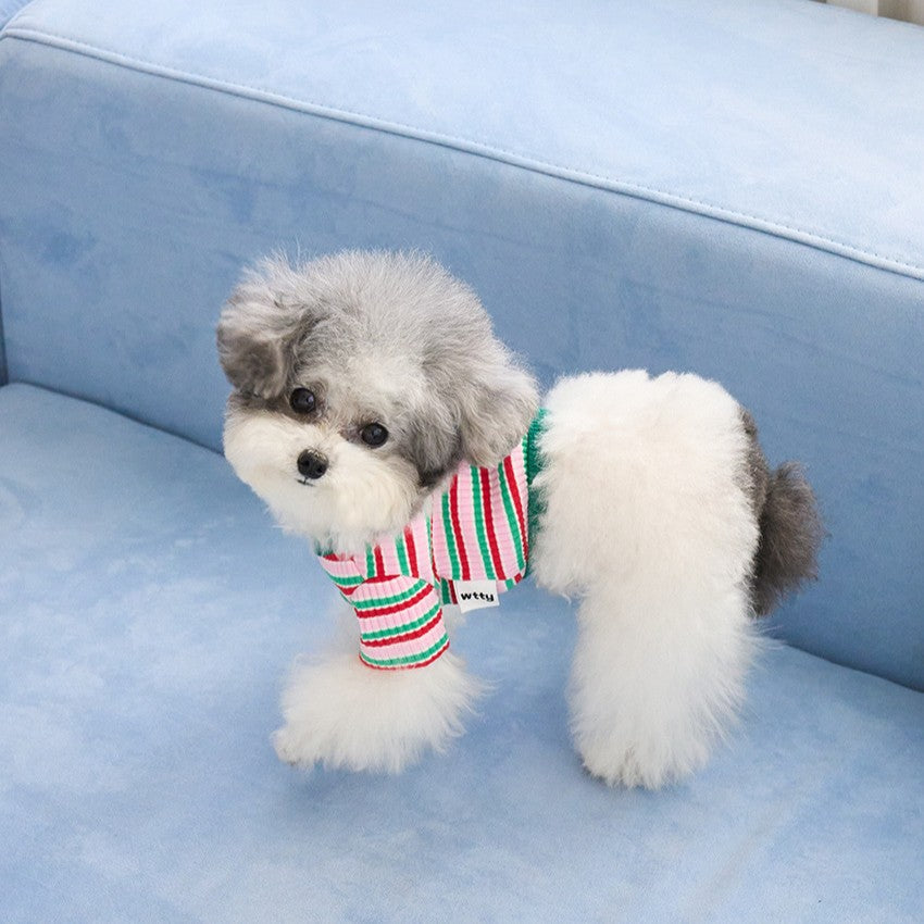 【予約】キャンディポップクロップドTシャツ