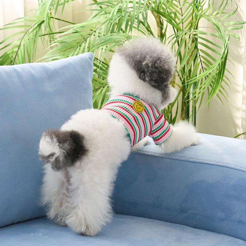 【予約】キャンディポップクロップドTシャツ