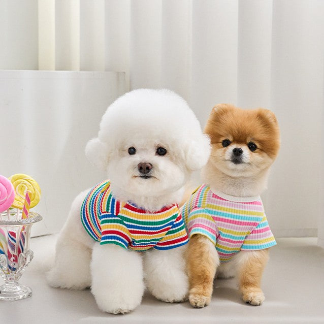 【予約】キャンディポップクロップドTシャツ