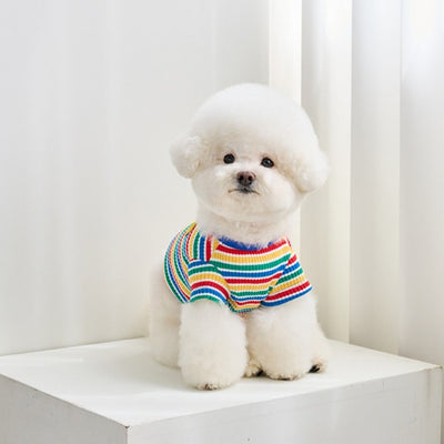 【予約】キャンディポップクロップドTシャツ