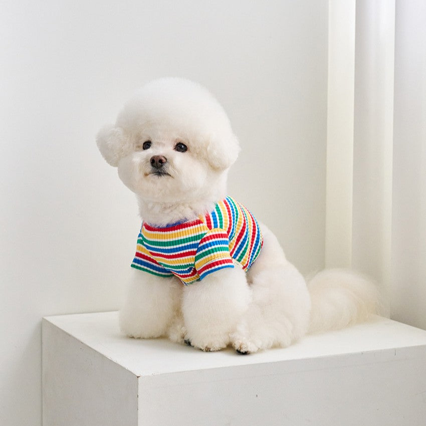 【予約】キャンディポップクロップドTシャツ