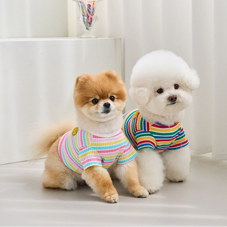 【予約】キャンディポップクロップドTシャツ