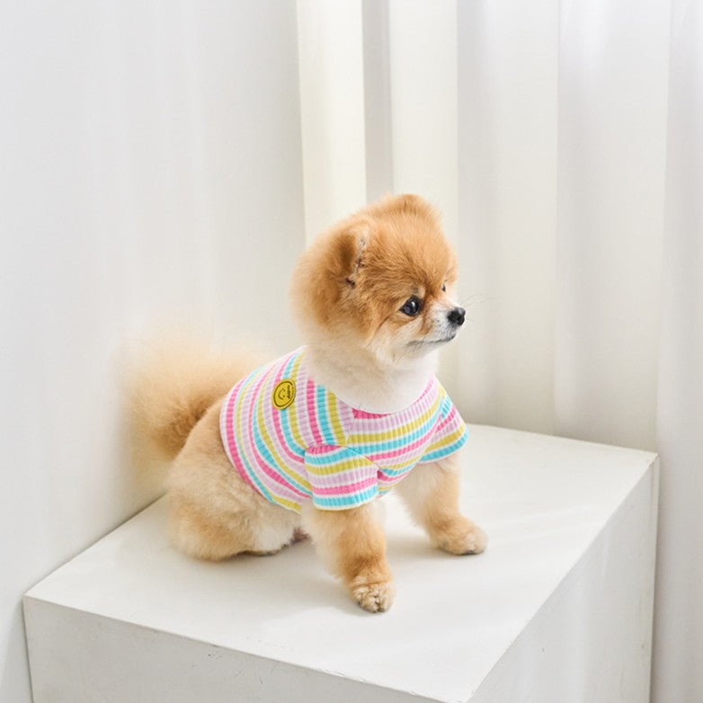 【予約】キャンディポップクロップドTシャツ