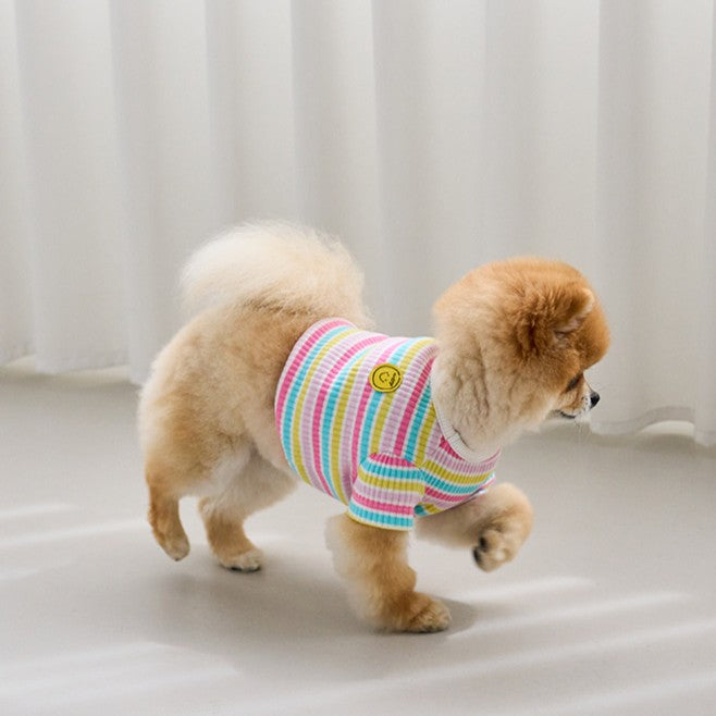 【予約】キャンディポップクロップドTシャツ