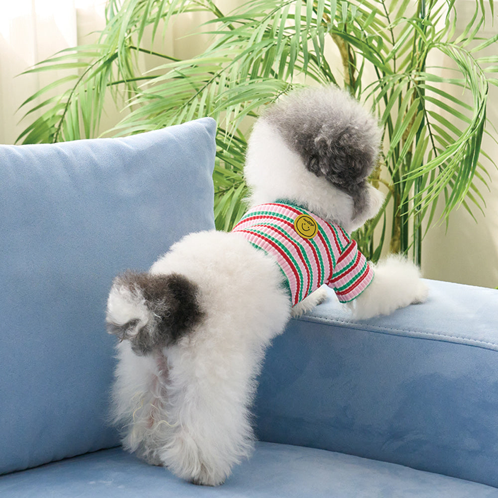 【予約】キャンディポップクロップドTシャツ