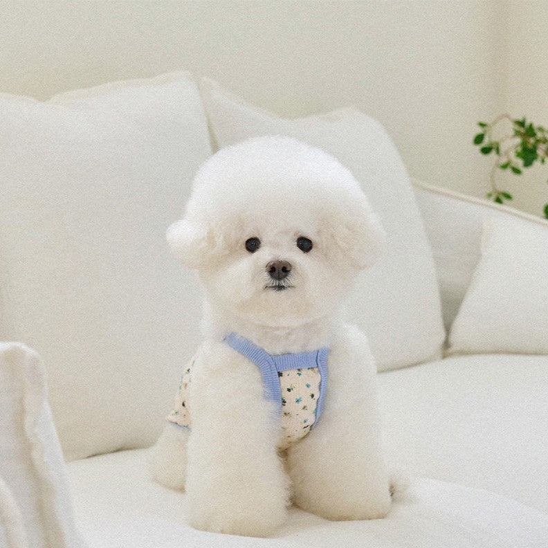 【予約】フラワーリボントップ