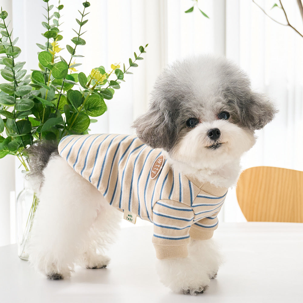 【予約】マルチストライプTシャツ