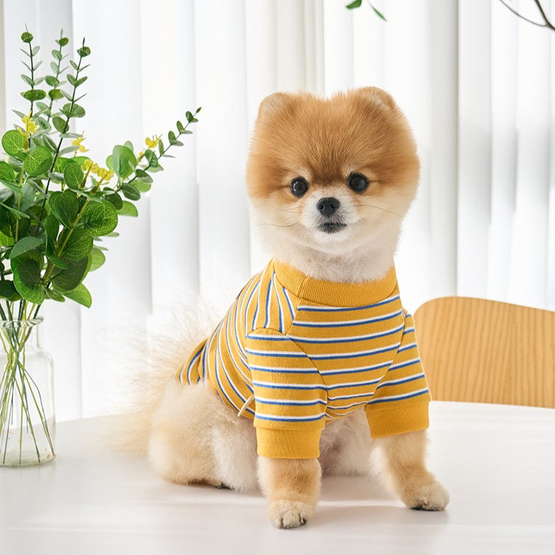 【予約】マルチストライプTシャツ