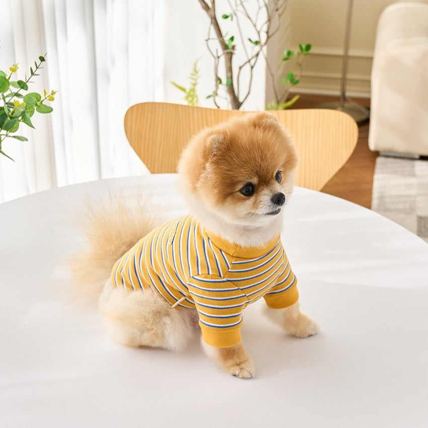 【予約】マルチストライプTシャツ