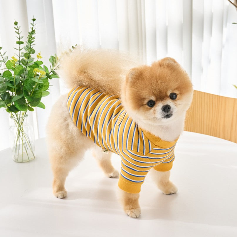 【予約】マルチストライプTシャツ