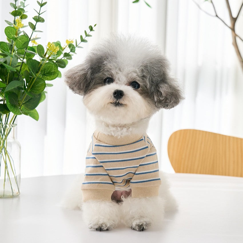 【予約】マルチストライプTシャツ