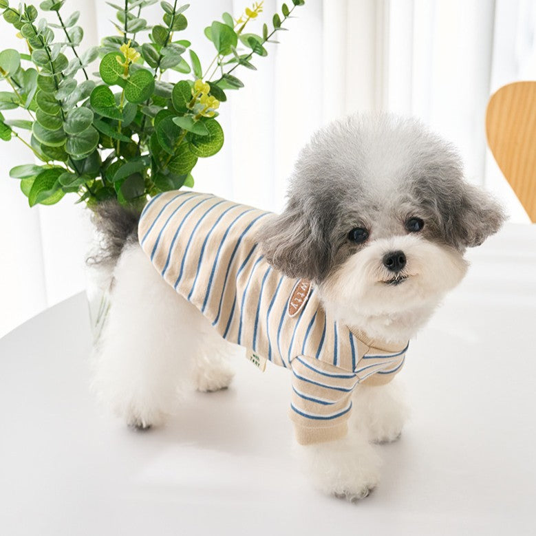 【予約】マルチストライプTシャツ