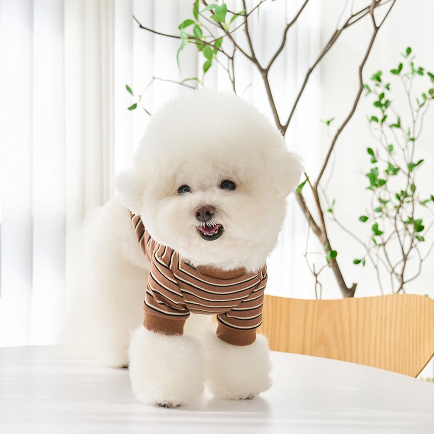 【予約】マルチストライプTシャツ