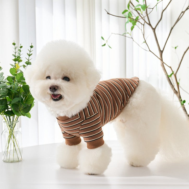 【予約】マルチストライプTシャツ