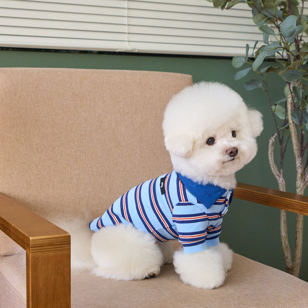 【予約】マルチストライプストリングポロTシャツ