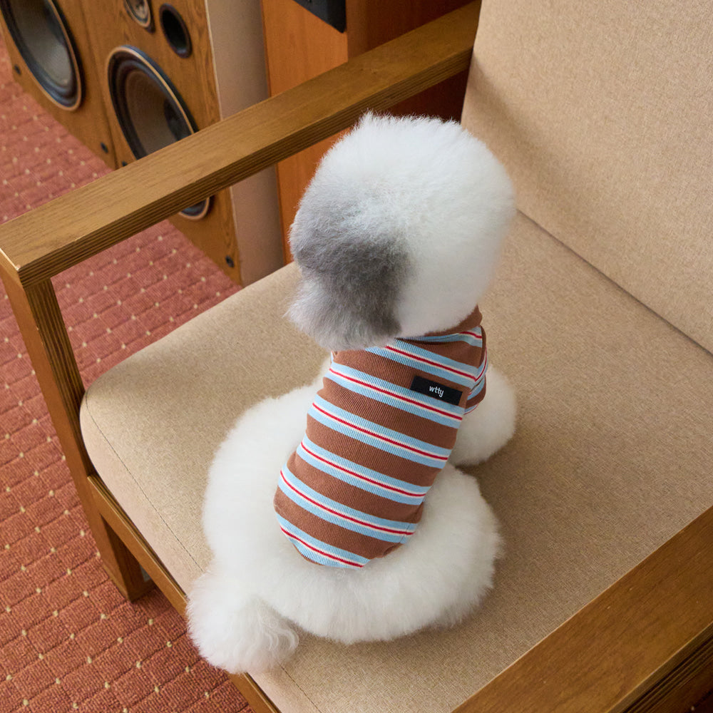 【予約】マルチストライプストリングポロTシャツ