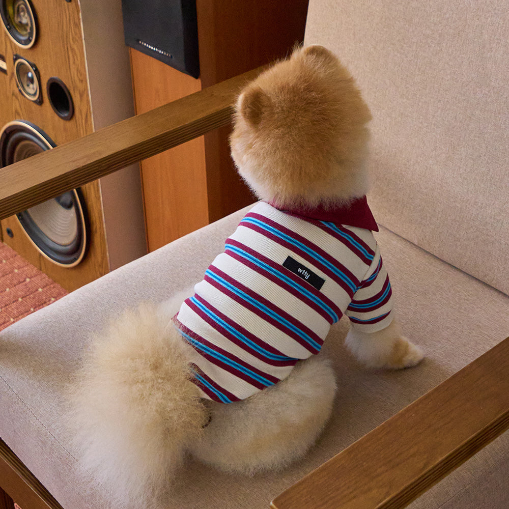 【予約】マルチストライプストリングポロTシャツ