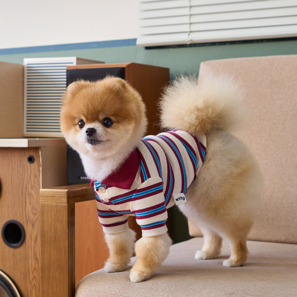 【予約】マルチストライプストリングポロTシャツ