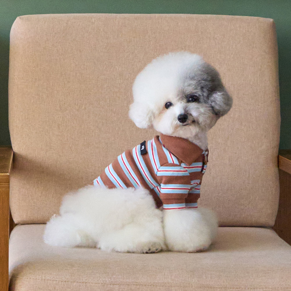 【予約】マルチストライプストリングポロTシャツ