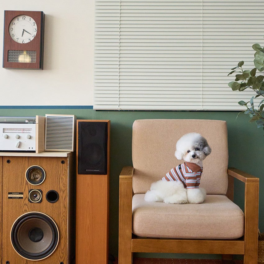 【予約】マルチストライプストリングポロTシャツ