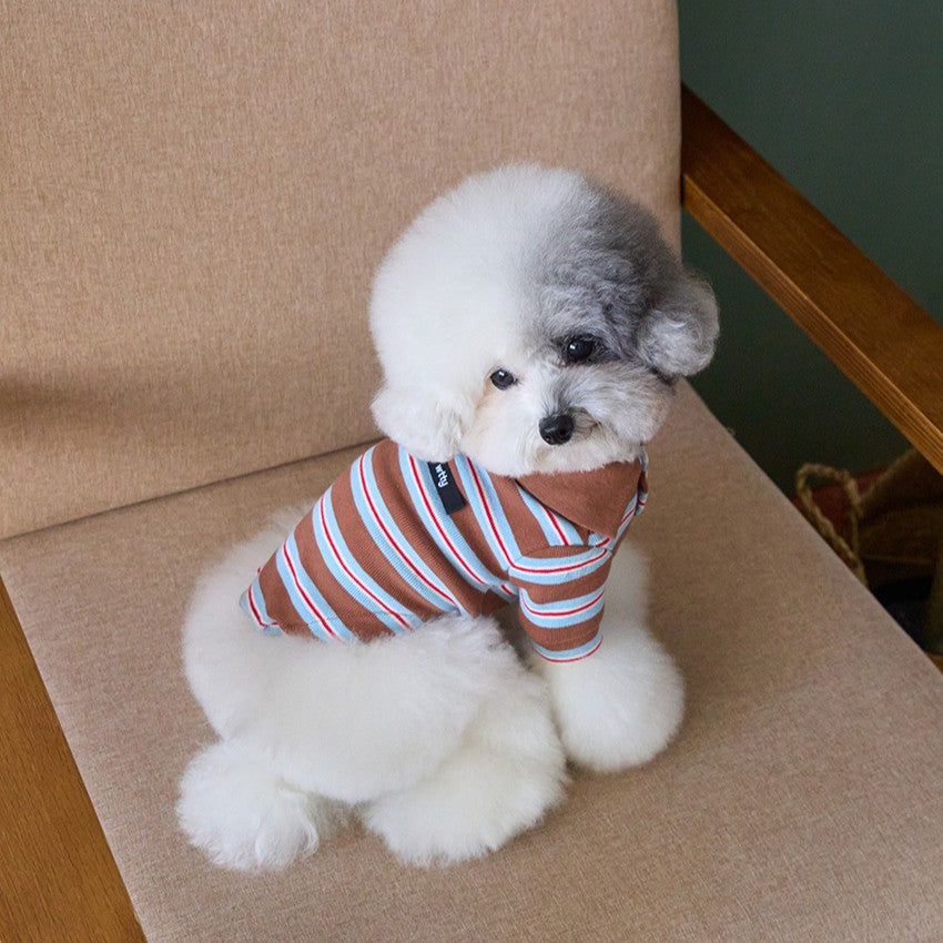 【予約】マルチストライプストリングポロTシャツ