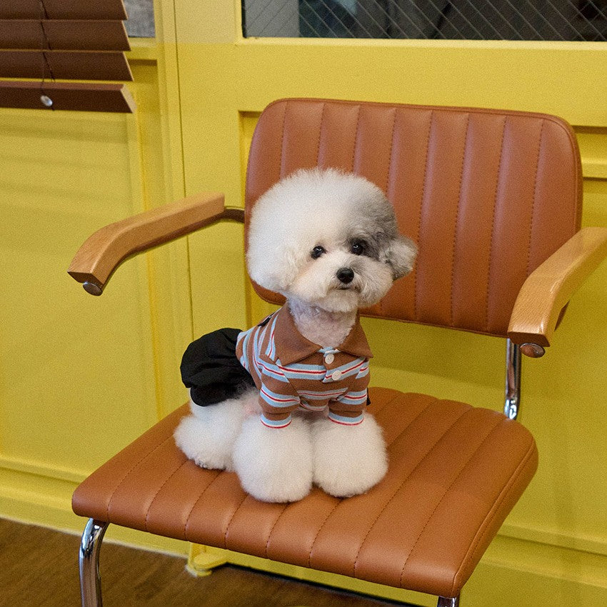 【予約】マルチストライプストリングポロTシャツ