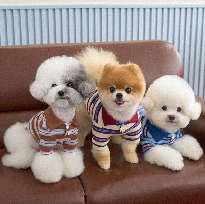 Lika Bag｜PAW SELECT（パウセレクト） – likalika