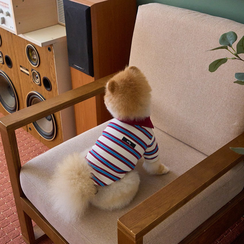 【予約】マルチストライプストリングポロTシャツ