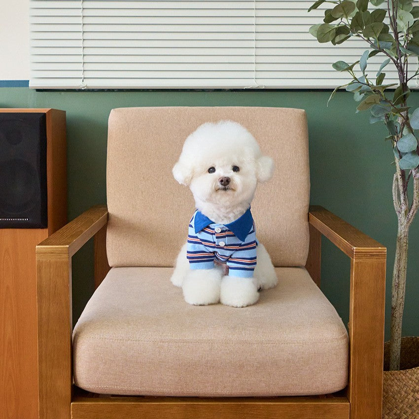 【予約】マルチストライプストリングポロTシャツ