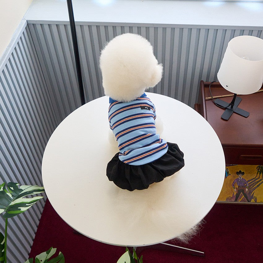 【予約】マルチストライプストリングポロTシャツ