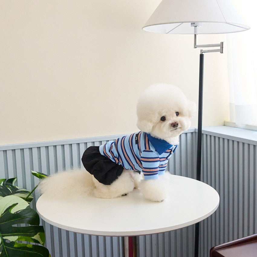 【予約】マルチストライプストリングポロTシャツ