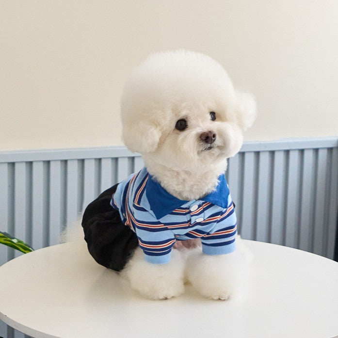 【予約】マルチストライプストリングポロTシャツ