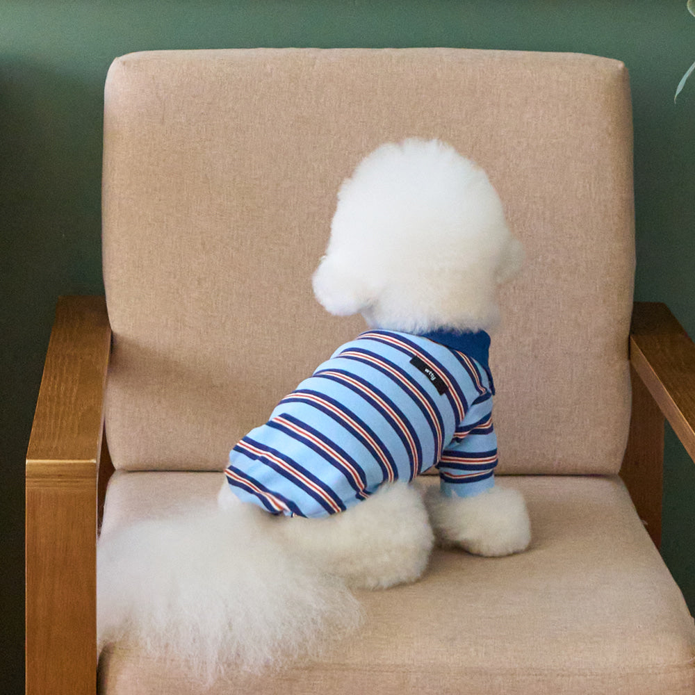 【予約】マルチストライプストリングポロTシャツ