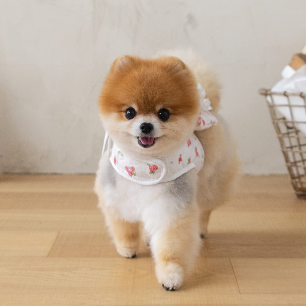 【予約】キルティングラビットバッグハーネス