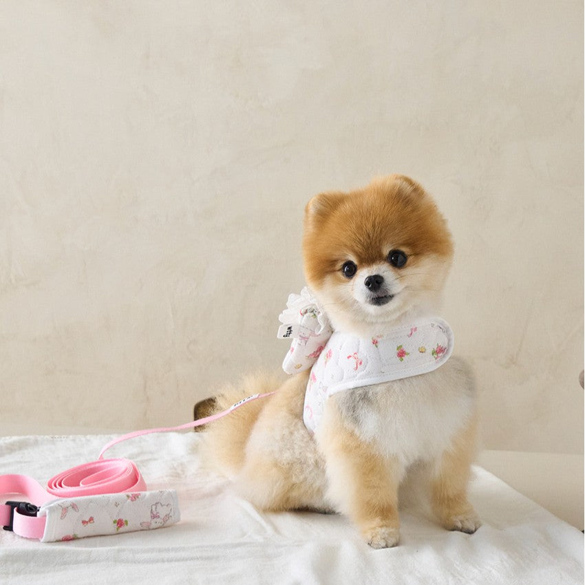 【予約】キルティングラビットバッグハーネス