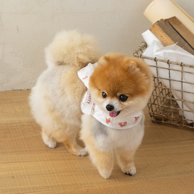 【予約】キルティングラビットバッグハーネス