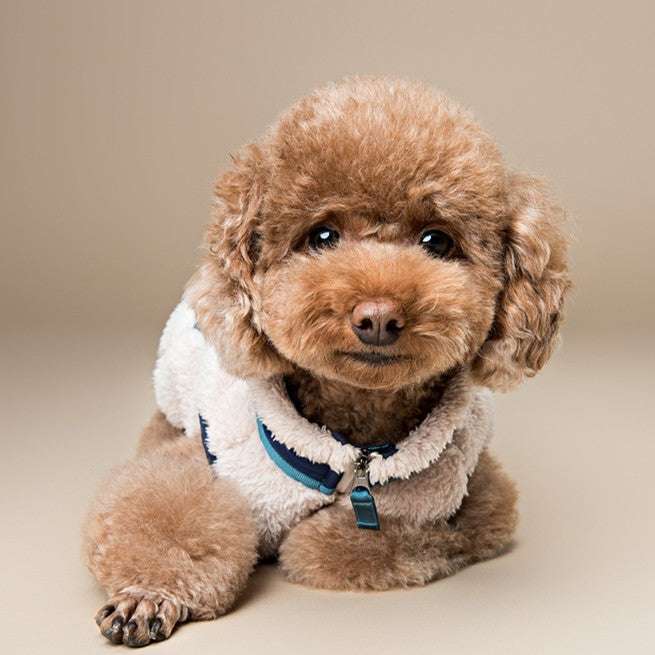 【予約】ボアベスト