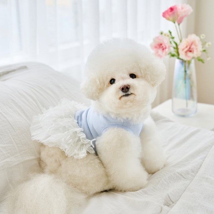 【予約】リボンチュールワンピース